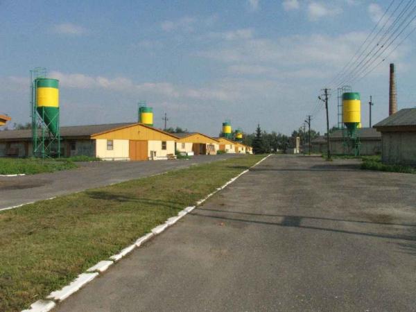 produkcja roślinna i drobiarska 12
